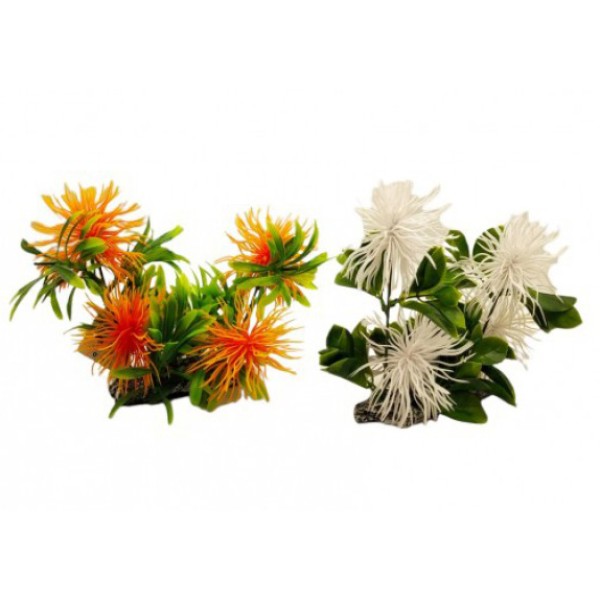 ΔΙΑΚΟΣΜΗΤΙΚΟ ΦΥΤΟ ΕΝΥΔΡΕΙΟΥ ΣΕ 2 ΧΡΩΜΑΤΑ 11Χ17CM